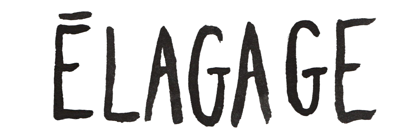 Élagage raisonné et abattage par démontage – Arbolino Élagage, Foix