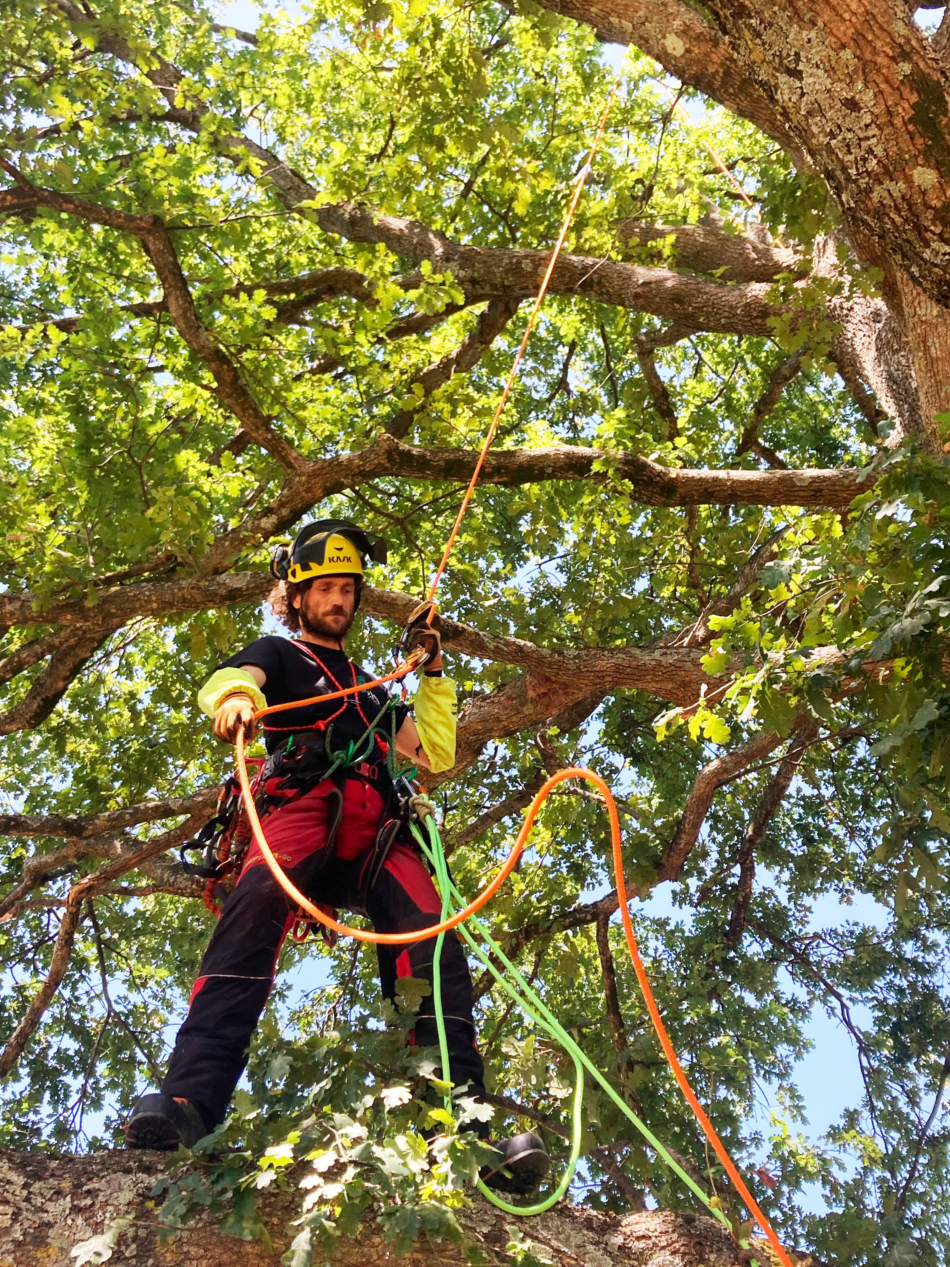 Umberto Vigliani grimpeur arboriste – Arbolino Élagage, Foix