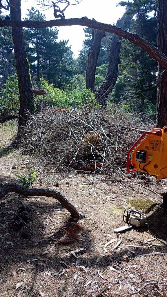 Entretien espaces verts et débroussaillage – Ariège et Haute-Garonne