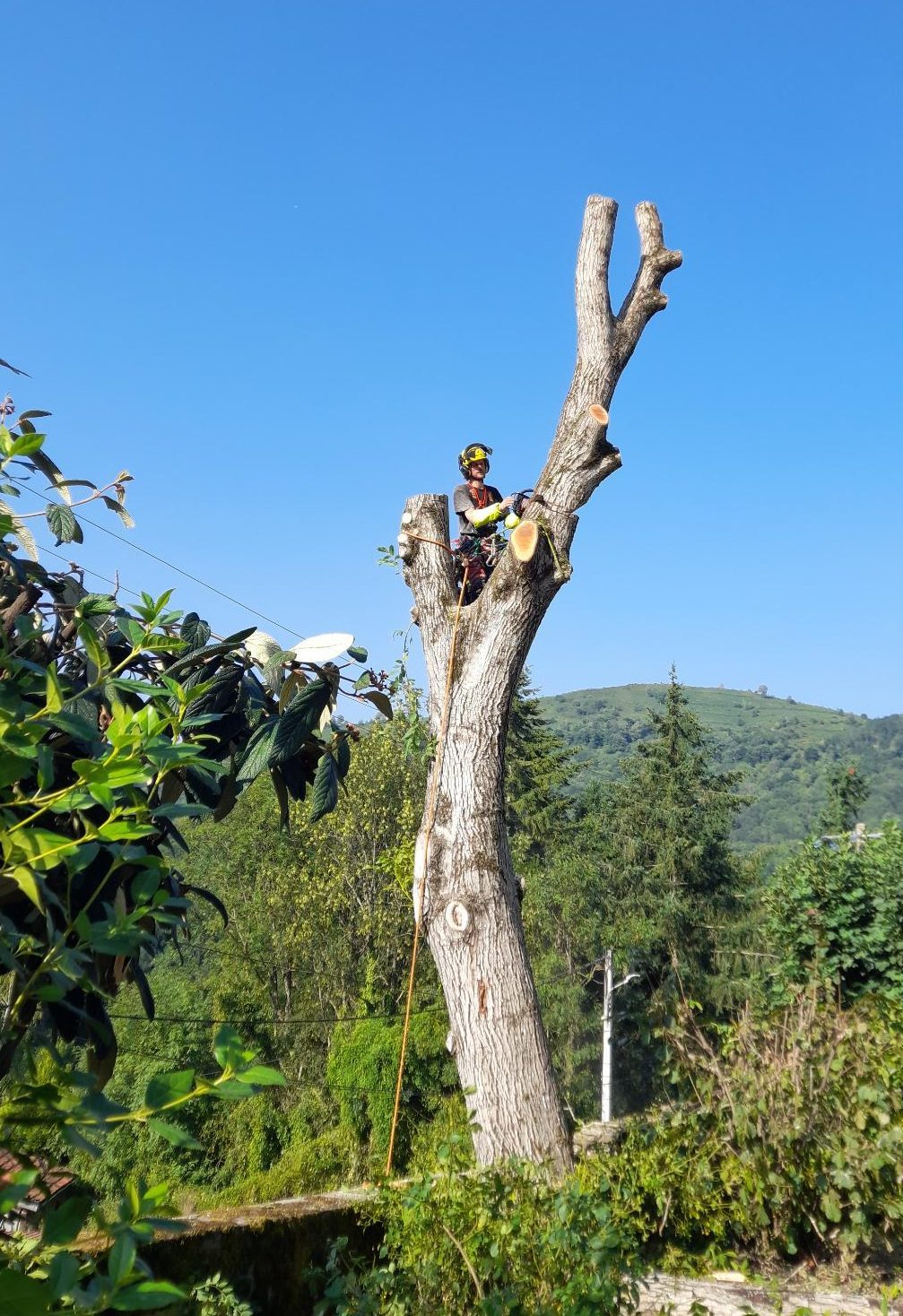 Abattage par démontage délicat – élagueur professionnel Foix, Ariège